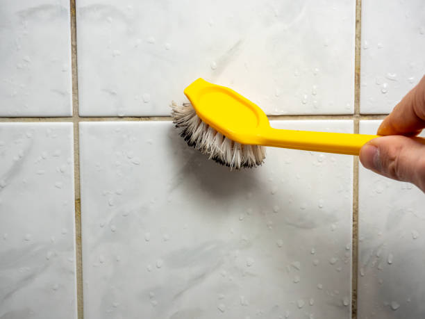 Best Best Mold Removal Companies  in Lexington, IL