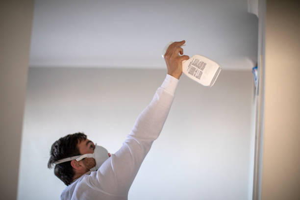 Professional Mold Removal in Lexington, IL